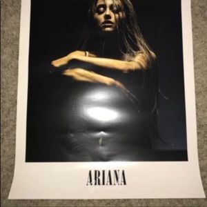 ISO Ariana grande dangerous woman tour poster